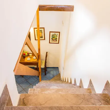 Primula Studio